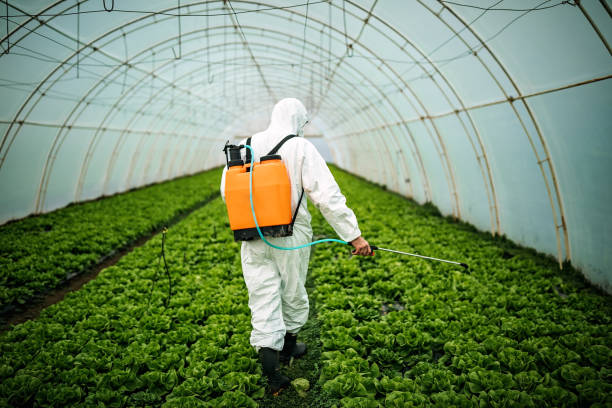 Best Residential Pest Control  in Elizabeth, NJ