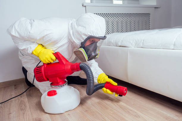 Trusted Elizabeth, NJ Pest Control Experts