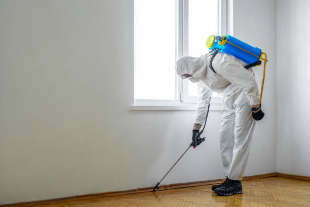 Best Affordable Pest Control Services  in Elizabeth, NJ