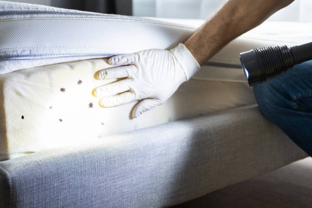 Best Commercial Pest Control Services  in Elizabeth, NJ
