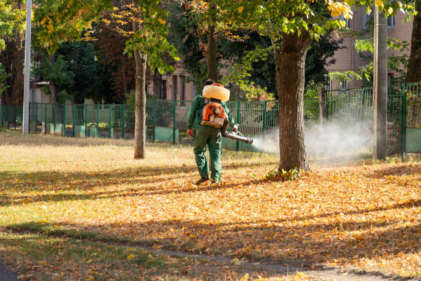 Pest Prevention Services in Elizabeth, NJ
