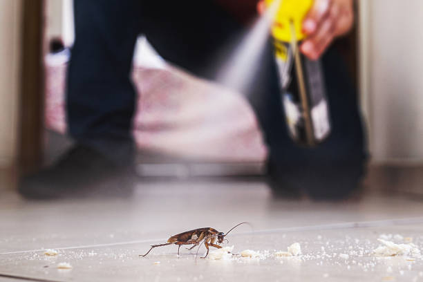Best Pest Control Near Me in Elizabeth, NJ